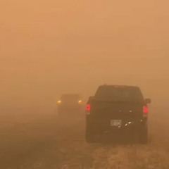 As the Dust Settles
