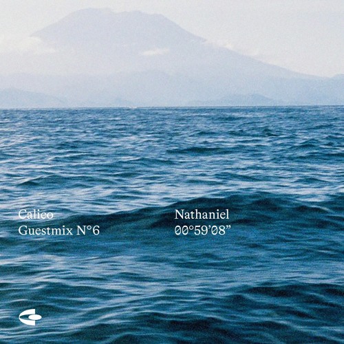 Calico Guestmix 006 | Nathaniel