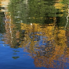 The Fall