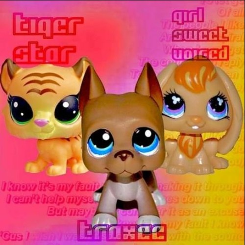 tigerstar - Petstore w/ traxee and girlsweetvoiced (p. Fantom)