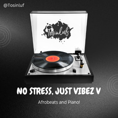 2025 No Stress ,Just Vibez  Vol. V -Afrobeats Mix
