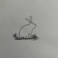 Rabbit 777