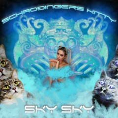 Sky Sky - Schrodingers Kitty