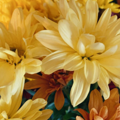 Reflect back energy protection meditation