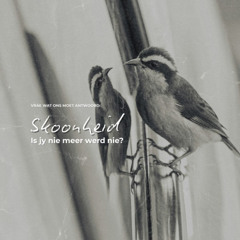 Skoonheid: Is jy nie meer werd nie? deur Theo Geyser