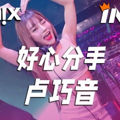好心分手 - 卢巧音好心一早放开我 重头努力也坎坷DJ REMIX Ft. GlcMusicChannel