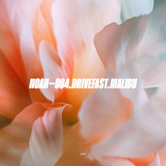 Drive Fast (Malibu) – Noah