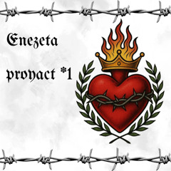 Proyect 1
