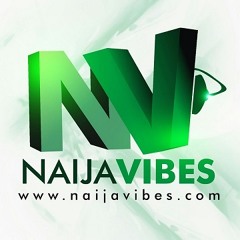 No Ties (Amapiano Remix) || NaijaVibes.com
