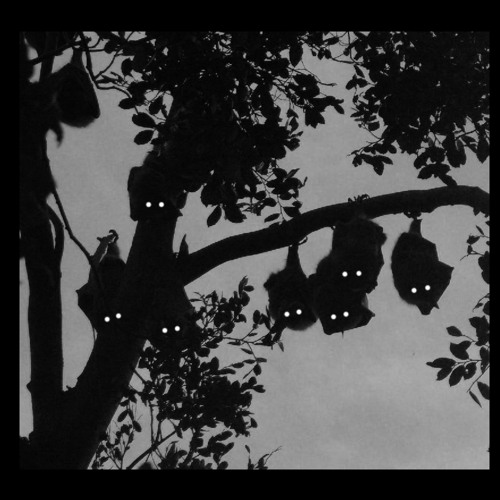 Bandit - Vamp Freestyle