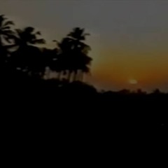 Visions of Life: Evening Set [022]