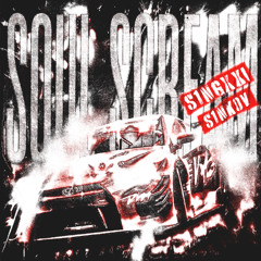 S1ngxxl & S1NKOV - SOUL SCREAM