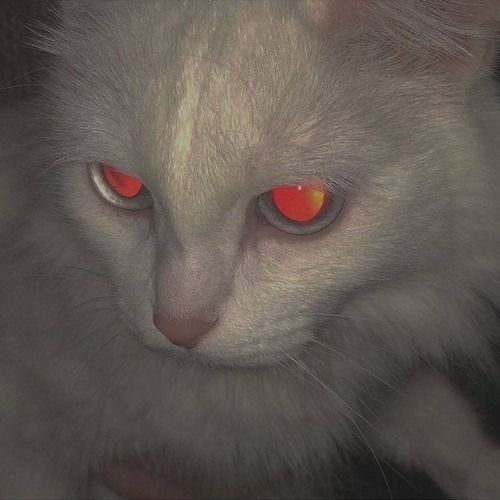 CJTHAGODD - Midnight (PROD. DRAZDID911) @407leaks