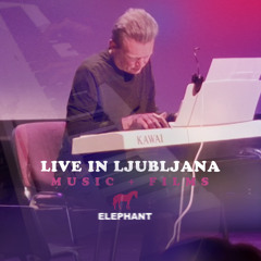 Live in Ljubljana 2025 - Elephant Film Evening