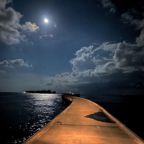 javvun ossunee thari