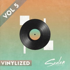 Vinylized Vol 5