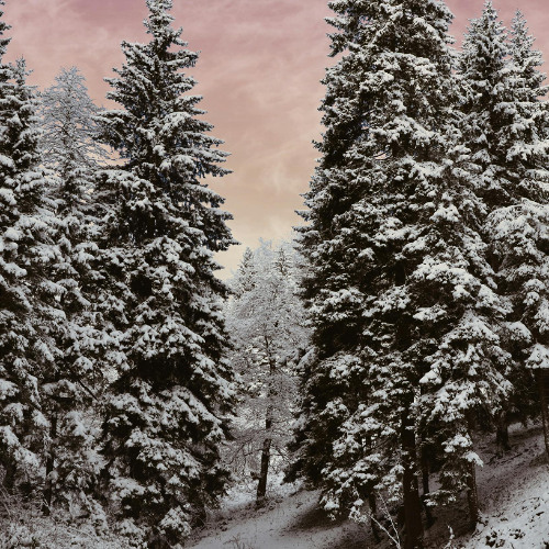 DISCO INFERNO Live Set Balmalp 70_80ies Remixed