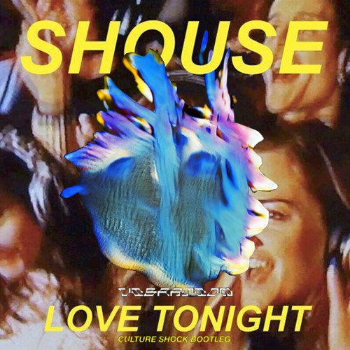 Vibration X Love Tonight Mini Mix