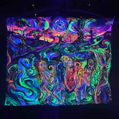 comfy ambient čajovna