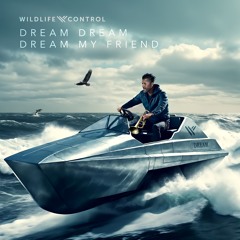 Dream Dream Dream My Friend