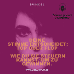 podcast STIMME GEWINNT | #1 Top oder Flop
