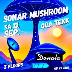 Nagra DJ set 13.09.25 @ Sonar Mushroom Douala Ravensburg