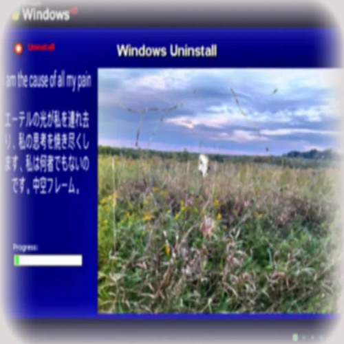 injection of solace w/ mckel