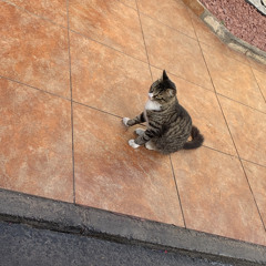 Kimi no Koto ft matiu.m4a