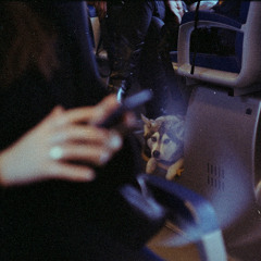 waxed frequencies 01