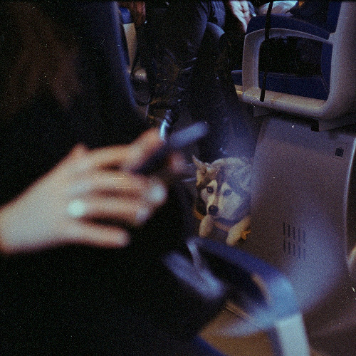 waxed frequencies 01