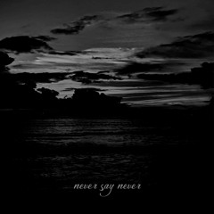 Emin Nilsen - Never Say Never
