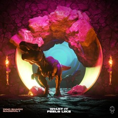 Dino Shadix & MADGRRL - What It Feels Like (Sorbet Kid Remix)