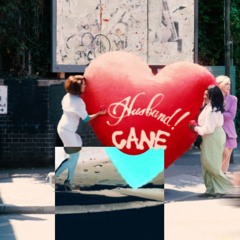 RAYE - WHERE IS MY HUSDAND (CANE DUB)