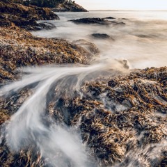 Wind Quintet, Fourth Movement