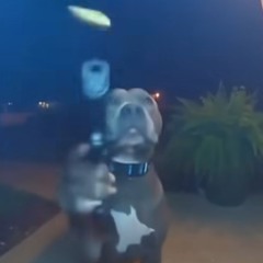 High how are yah? [Prod. idontworry](nonprofit)