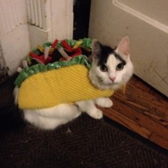 MUMMY (BREEZY) #FREE2SHANEZ