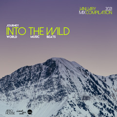 Into The Wild - Episode 007 - January 2021