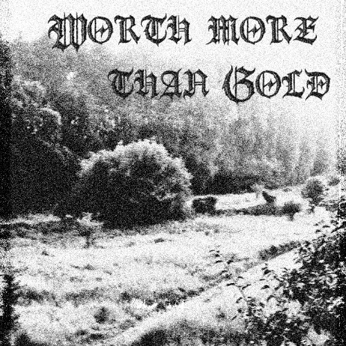 Worth more than Gold