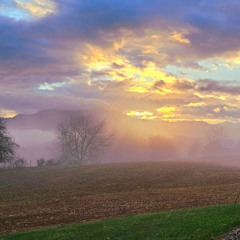 Gratitude meditation feat. Yael Zinger - Ecstatic TLV | August 2025