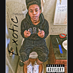 Exotic Pnpbjay2x