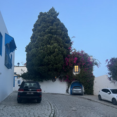 رسالة سلمي لأمير ….باسل رفقي