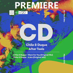 Chile, Duque - Want For You (Original Mix)