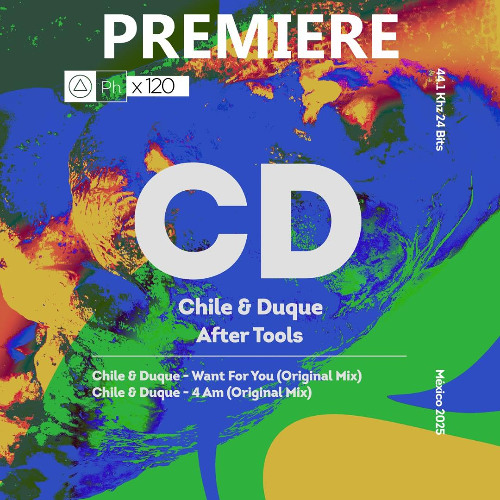 Chile, Duque - Want For You (Original Mix)