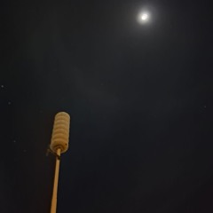 dodie - human (boxkitty press myself open mix)