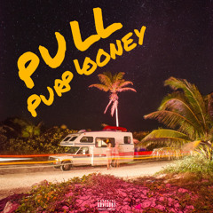 PULL (prod. Purplooney)