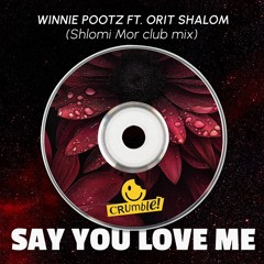 Say You Love Me - Shlomi Mor Remix