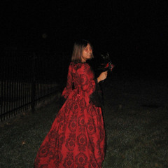 drgnfr - sabs (original)