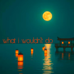 What I Wouldn't Do