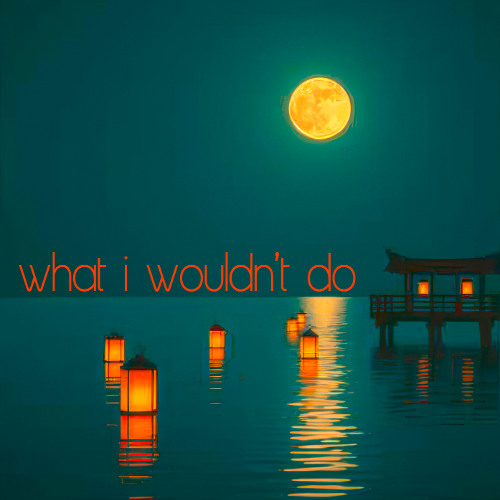 What I Wouldn't Do