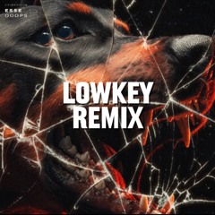 ESSE (US) - Ooops (Lowkey Remix)